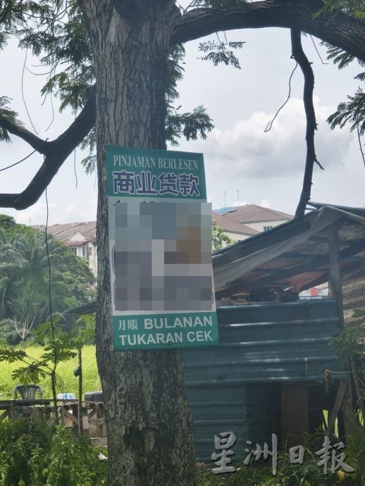 大都会（版2头）/巴生非法街招情况