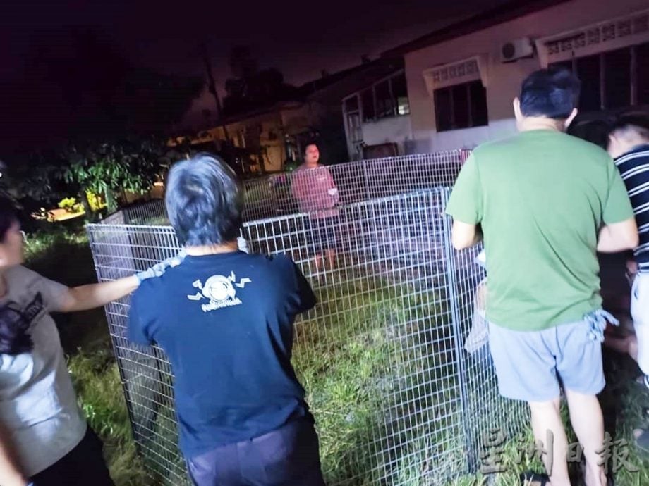 东:百乐毛孩子家推动TNR为流浪狗结扎