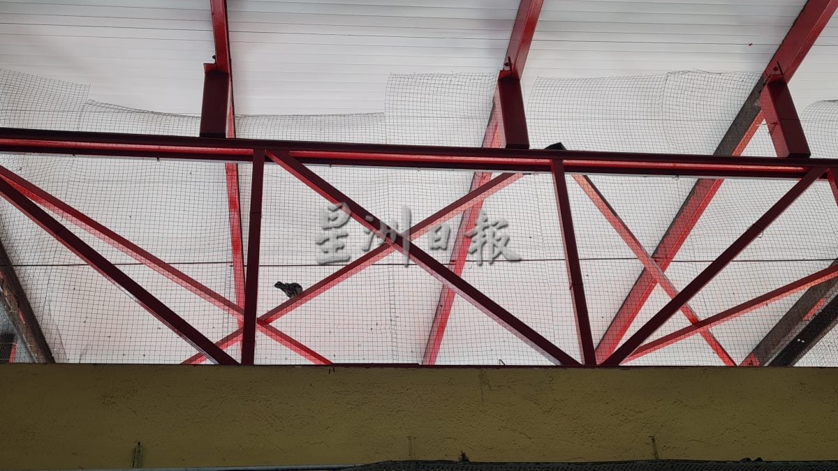 大都会/封面/跟进双溪威巴刹提升工程课题