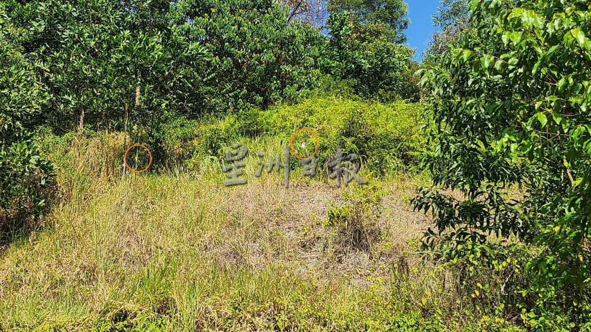 登山群涉擅闯住宅区小山林 居民怒轰不负责任