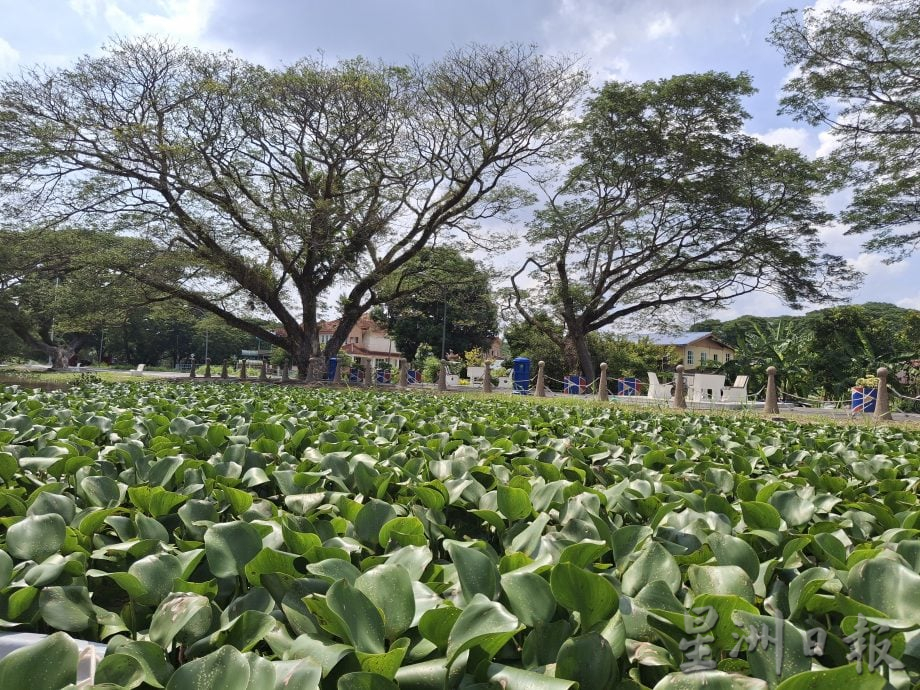 (21/6见报)星角摄/吉打河,创米都近300年辉煌的泉源