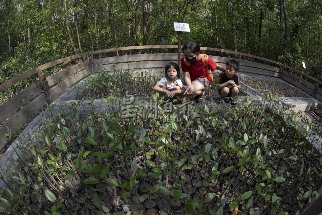 星角摄/龟咯岛国家公园蓄势待发迎旅游年