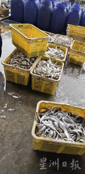 【马登船家:渔民/03】大海讨活,每次出海都是一场生命的搏斗