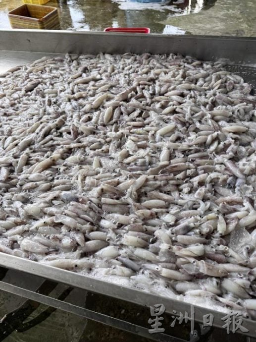 【马登船家:渔民/03】大海讨活,每次出海都是一场生命的搏斗