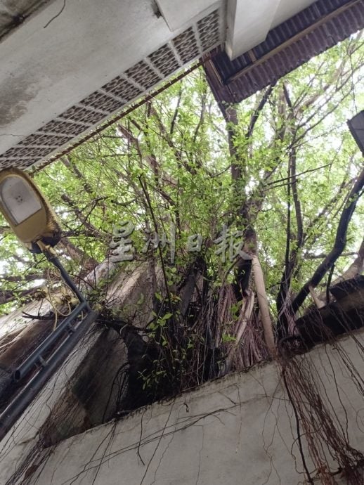 (古城第二版主文)老街荒屋衍生卫生安全问题 刘志俍促加强管制