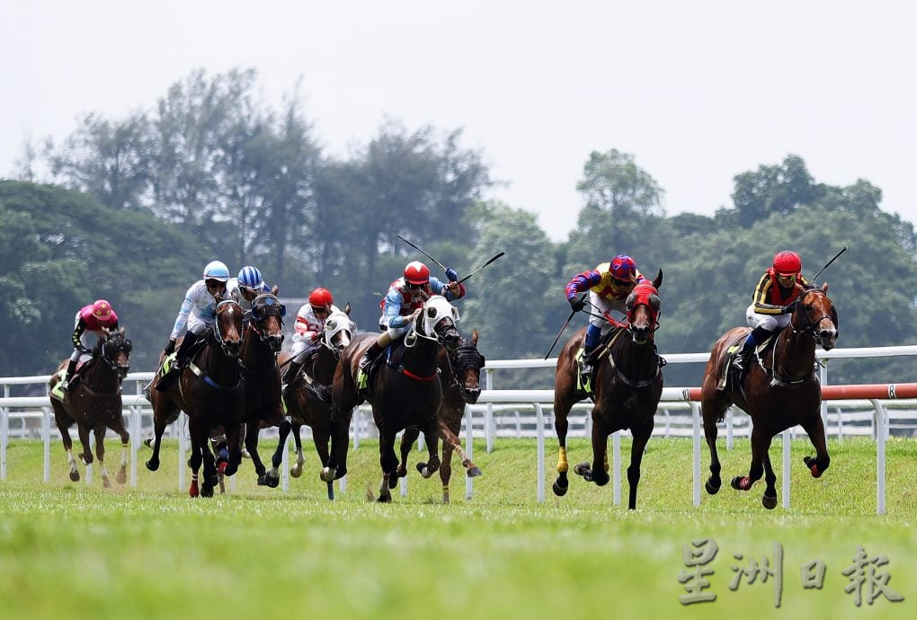 (28/6见报)星角摄/槟赛马场的最后一场赛