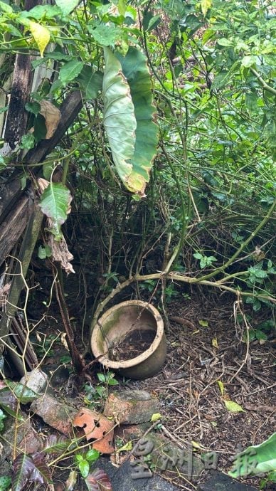 (古城第三版主文)玛琳再也查希路段骨痛热症肆虐,过去3周录得4宗病例 有99黑斑蚊繁殖点