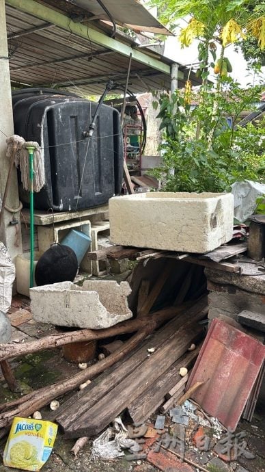 (古城第三版主文)玛琳再也查希路段骨痛热症肆虐,过去3周录得4宗病例 有99黑斑蚊繁殖点