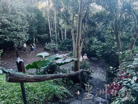 【澳洲】雨天转晴的冬日悉尼，闪耀最鲜艳的梦