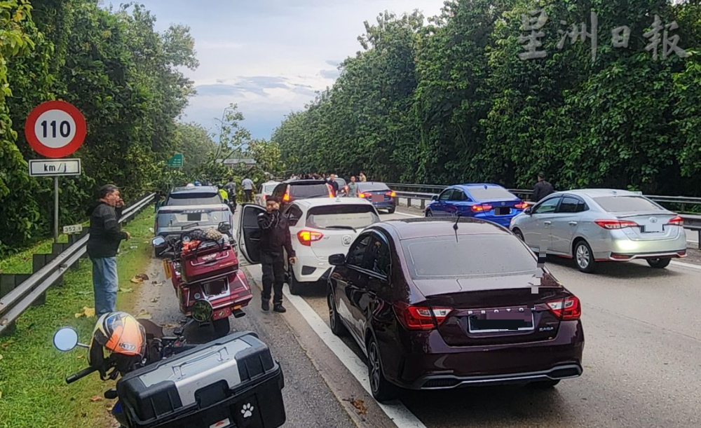 南北大道宋溪往美罗 树倒横卧路面