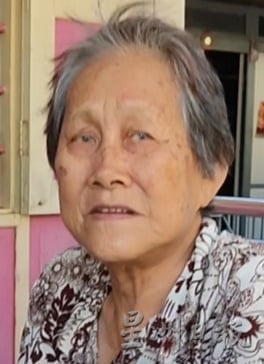 “大火毁我美丽家园” 长者无力重建掉泪