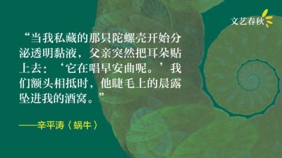 辛平涛/蜗牛