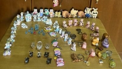 从挂饰到文具鞋袜自拍棒都买  许金标夫妇 超爱“猪”