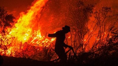 印尼林火事件| 嘉隆发展支付4930万罚款 恢复土地生态环境