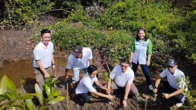 盼环保价值深植社区 大红花石油力挺红树林保育