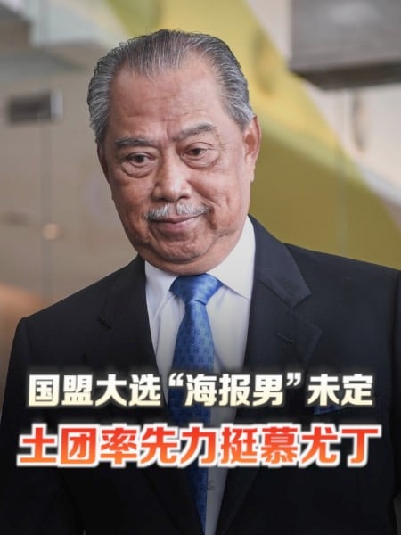 国盟大选“海报男”未定 土团率先力挺慕尤丁