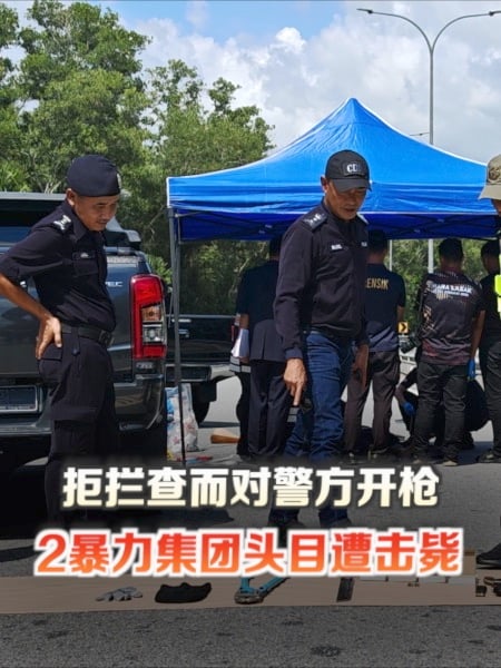 拒拦查而对警方开枪 2暴力集团头目遭击毙