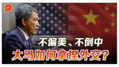 大国面前如何不选边站？外长教你“平衡艺术”