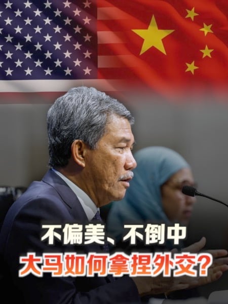 大国面前如何不选边站？外长教你“平衡艺术”