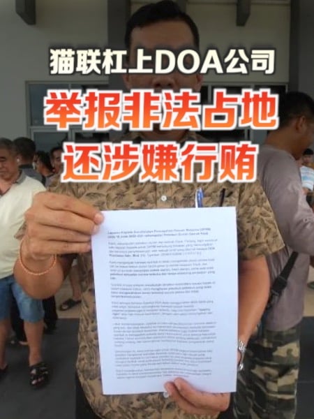 猫山王风波再起 农民怒告“DOA公司”舞弊侵地