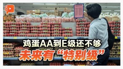 鸡蛋AA到E级还不够？农粮部宣布推“特别级”新选项