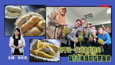 大柔佛三分钟 | 东甲设一站式中心稳定榴梿市场价与供应链