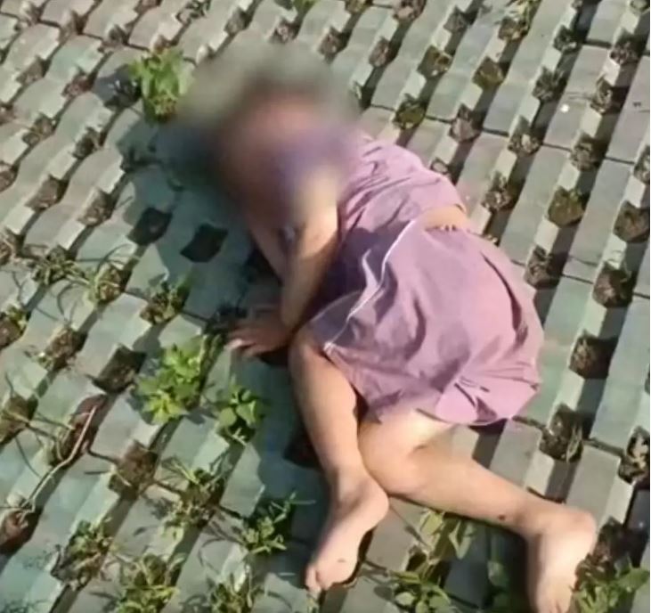 3岁男童18楼坠下奇迹生还 家长“挂树缓冲”