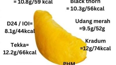 3瓣榴梿=1碗饭的热量 过量食用造成负担