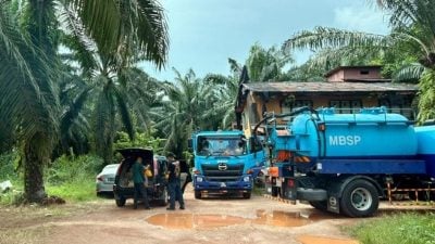 威北爆发非洲猪瘟   法米：准备销毁病猪