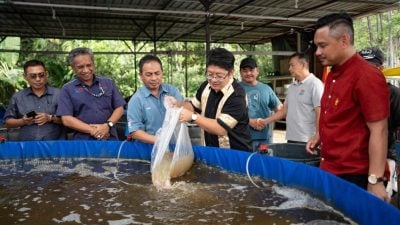 依温：集体创业共享收益 青年应积极参与合作社