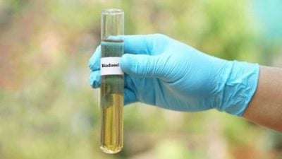 废弃食用油变身清洁能源  助降低有害排放