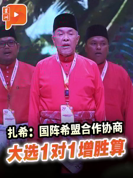 扎希促国阵希盟联手　一对一选战增胜算