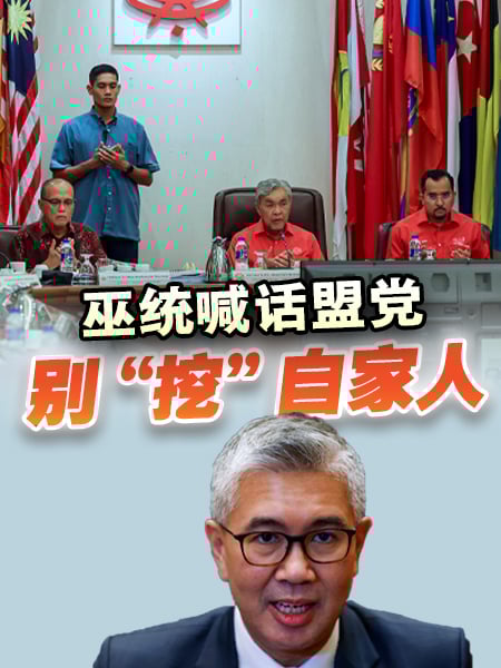 巫统促盟党别互挖党员 保团结稳和谐