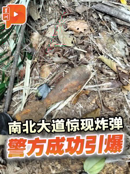 南北大道惊现迫击炮弹 警方安全引爆