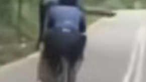 视频｜脚车队骑士挥手示意超车 却是在双白线？