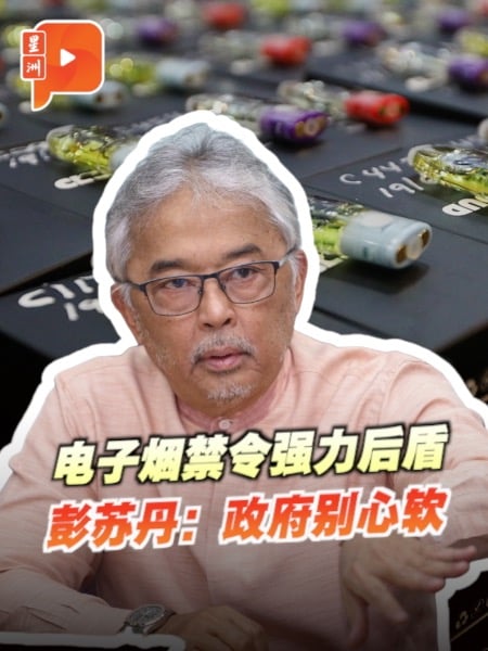 电子烟禁令强力后盾 彭苏丹：政府别心软