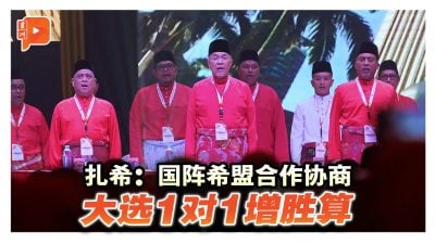 扎希促国阵希盟联手　一对一选战增胜算