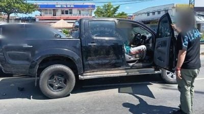 逃窜冲撞警民汽车 2毒虫被捕