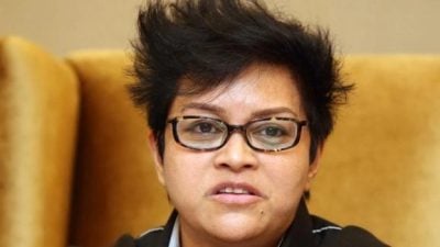 阿莎丽娜：联邦宪法赋权调查法官失职　现有机制防止外力干预