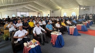 李宇铉：创优质就业岗位 提升本地人才素质