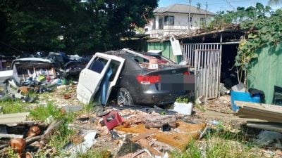 全汶清洁执法行动．35公司33人挨罚
