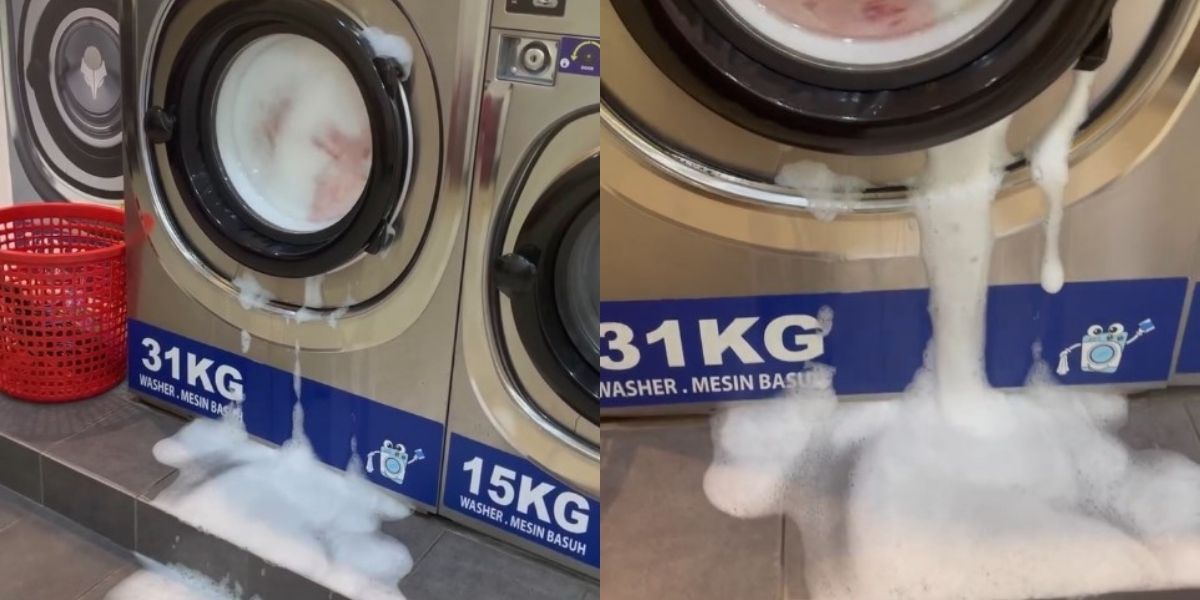 “倒入1kg洗衣液就跑掉！” 洗衣店满地泡沫成“灾区”