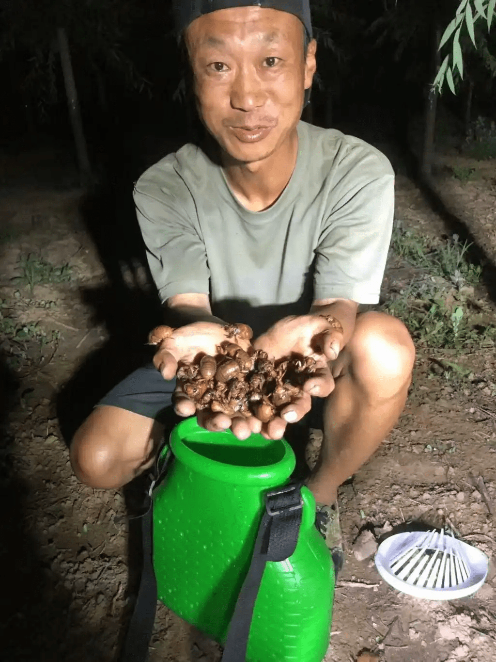 “金蝉猎人”日赚过万 知了猴面包人人喜爱