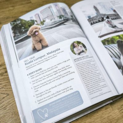 《全球爱宠故事4》大马站招募,等待你来分享毛孩的动人故事