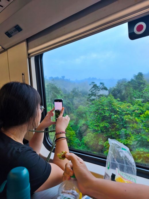 《半岛心旅行》:东海岸“丛林火车”