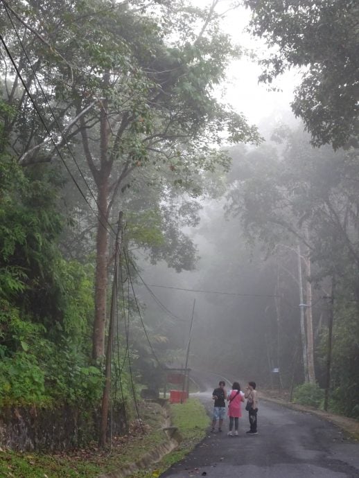 《半岛心旅行》:东海岸“丛林火车”