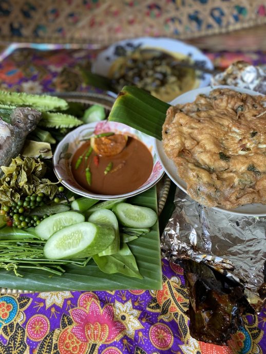 《半岛心旅行》:东海岸“丛林火车”