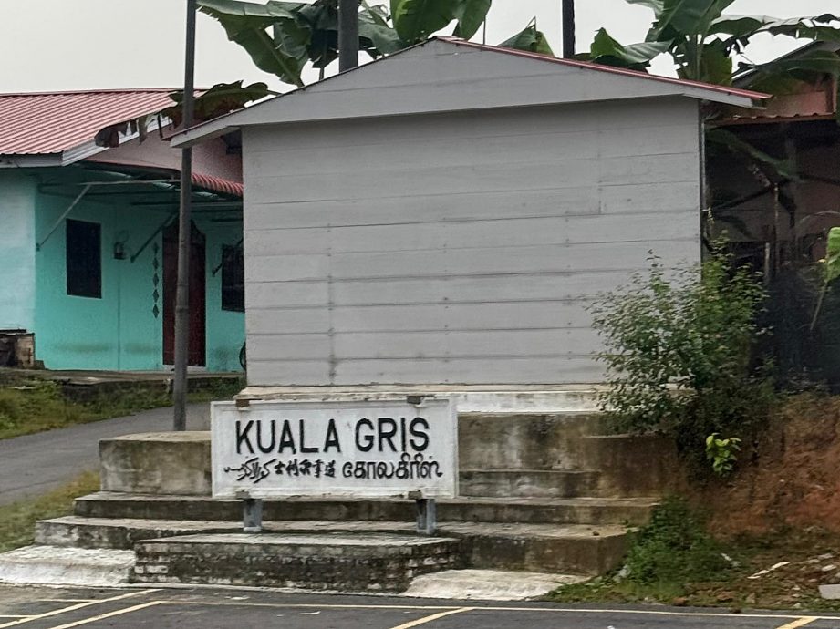 《半岛心旅行》:东海岸“丛林火车”