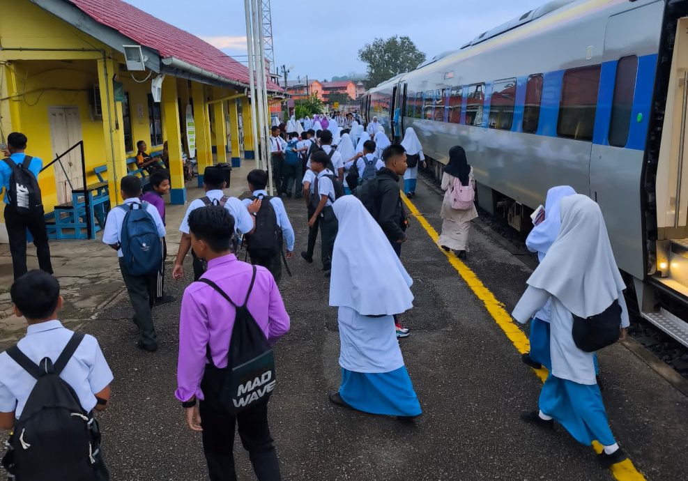 《半岛心旅行》:东海岸“丛林火车”
