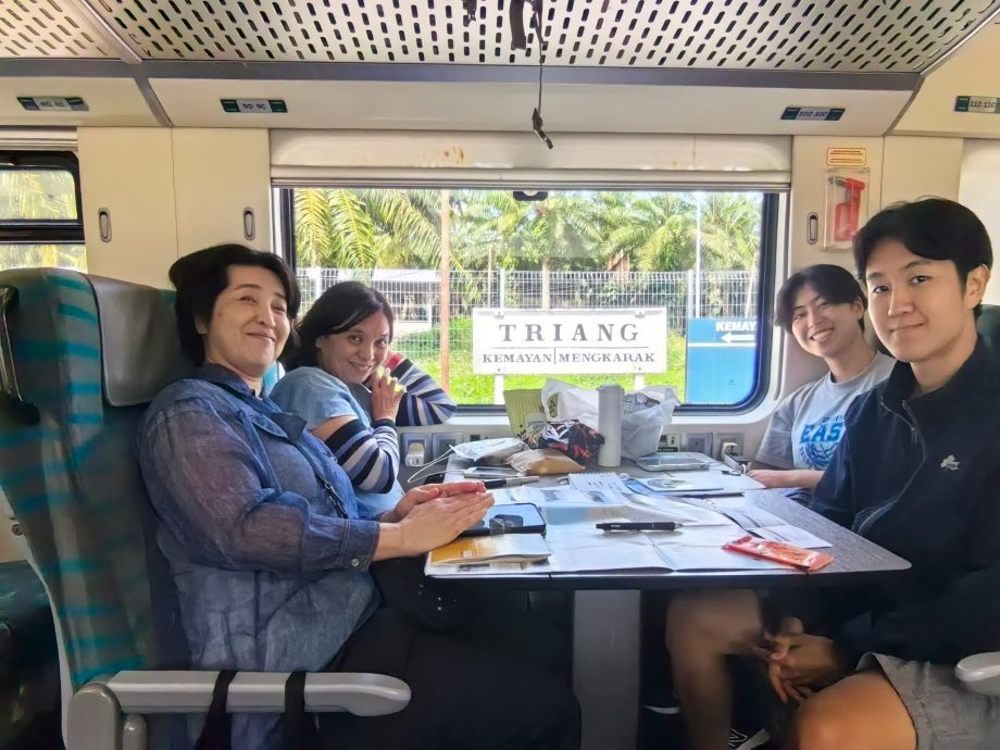 《半岛心旅行》:东海岸“丛林火车”